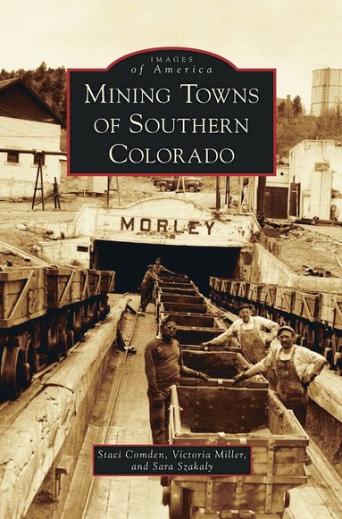 bokomslag Mining Towns of Southern Colorado