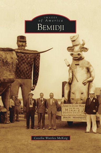 bokomslag Bemidji