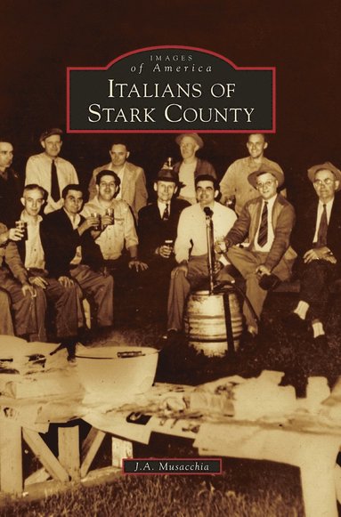 bokomslag Italians of Stark County