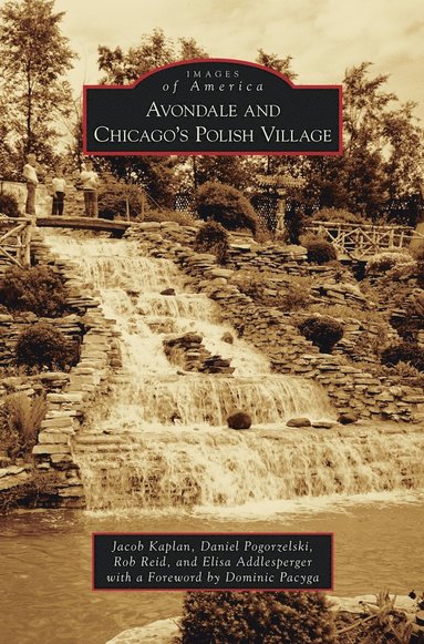 bokomslag Avondale and Chicago's Polish Village