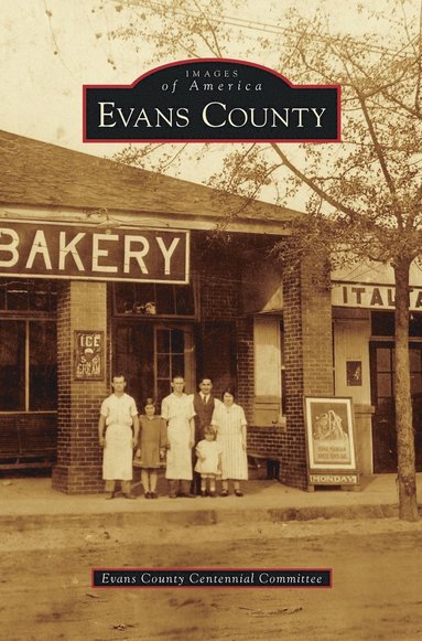 bokomslag Evans County