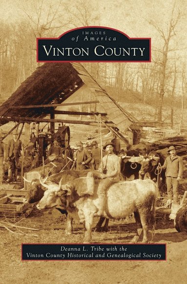 bokomslag Vinton County