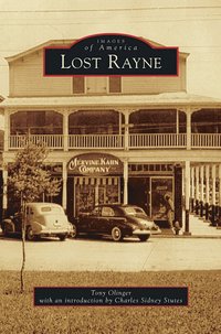 bokomslag Lost Rayne