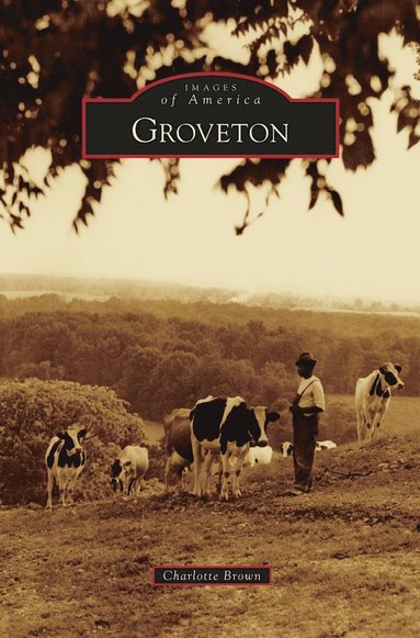 bokomslag Groveton