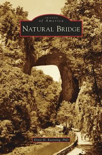bokomslag Natural Bridge