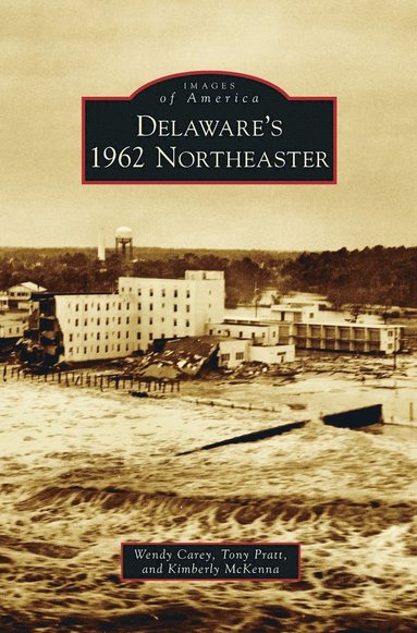 bokomslag Delaware's 1962 Northeaster