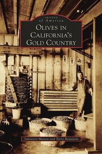 bokomslag Olives in California's Gold Country