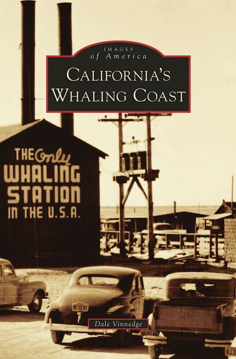 California's Whaling Coast 1