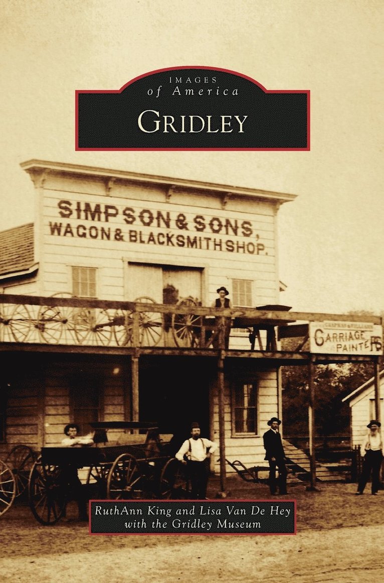 Ruthann King, Lisa Van De Hey, The Gridley Museum, Lisa van de Hey - Gridley, Inbunden