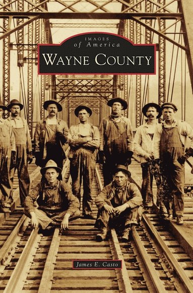 bokomslag Wayne County