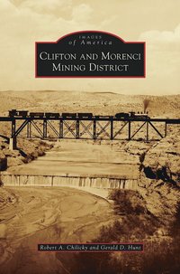 bokomslag Clifton and Morenci Mining District