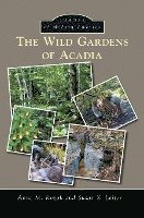 bokomslag The Wild Gardens of Acadia