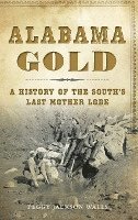 bokomslag Alabama Gold: A History of the South's Last Mother Lode
