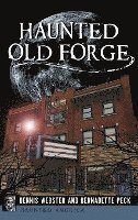 bokomslag Haunted Old Forge