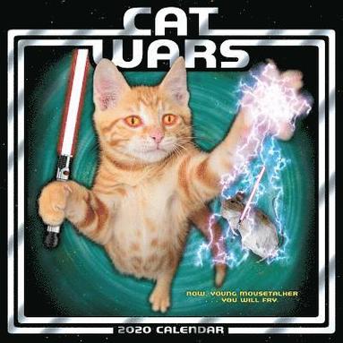 bokomslag Cat Wars 2020 Calendar