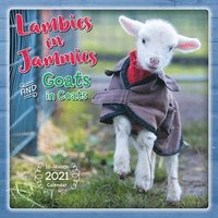 bokomslag Lambies In Jammies Goats In Coats 2021 C