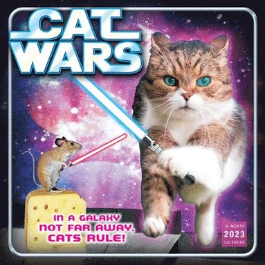 bokomslag CAT WARS