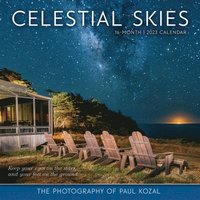bokomslag CELESTIAL SKIES