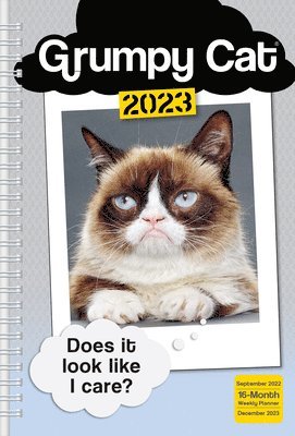 bokomslag GRUMPY CAT