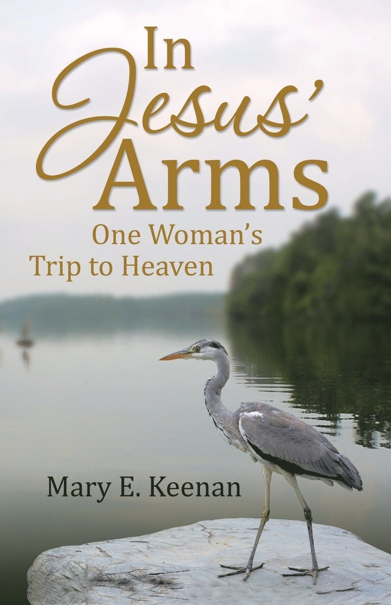 In Jesus' Arms 1