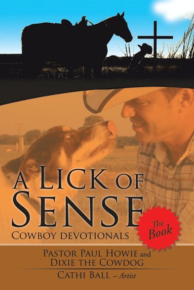 bokomslag Lick of Sense - The Book