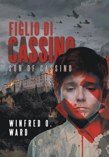 bokomslag Figlio di Cassino