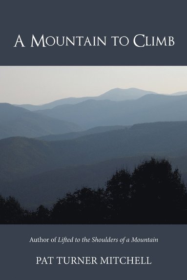 bokomslag Mountain to Climb