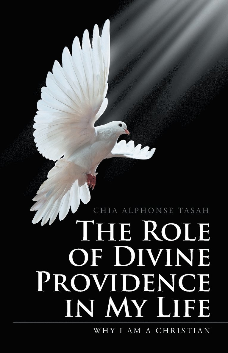 The Role of Divine Providence in My Life 1