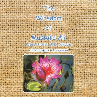 bokomslag Witsdom of Mustafa Ali