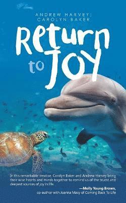Andrew Harvey, Carolyn Baker - Return to Joy, Häftad
