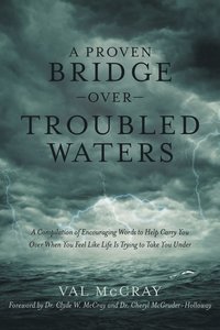 bokomslag A Proven Bridge over Troubled Waters