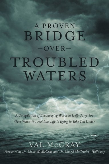 bokomslag Proven Bridge over Troubled Waters