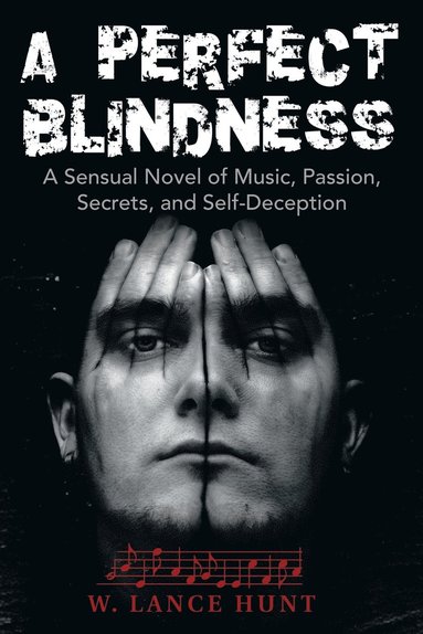 bokomslag Perfect Blindness