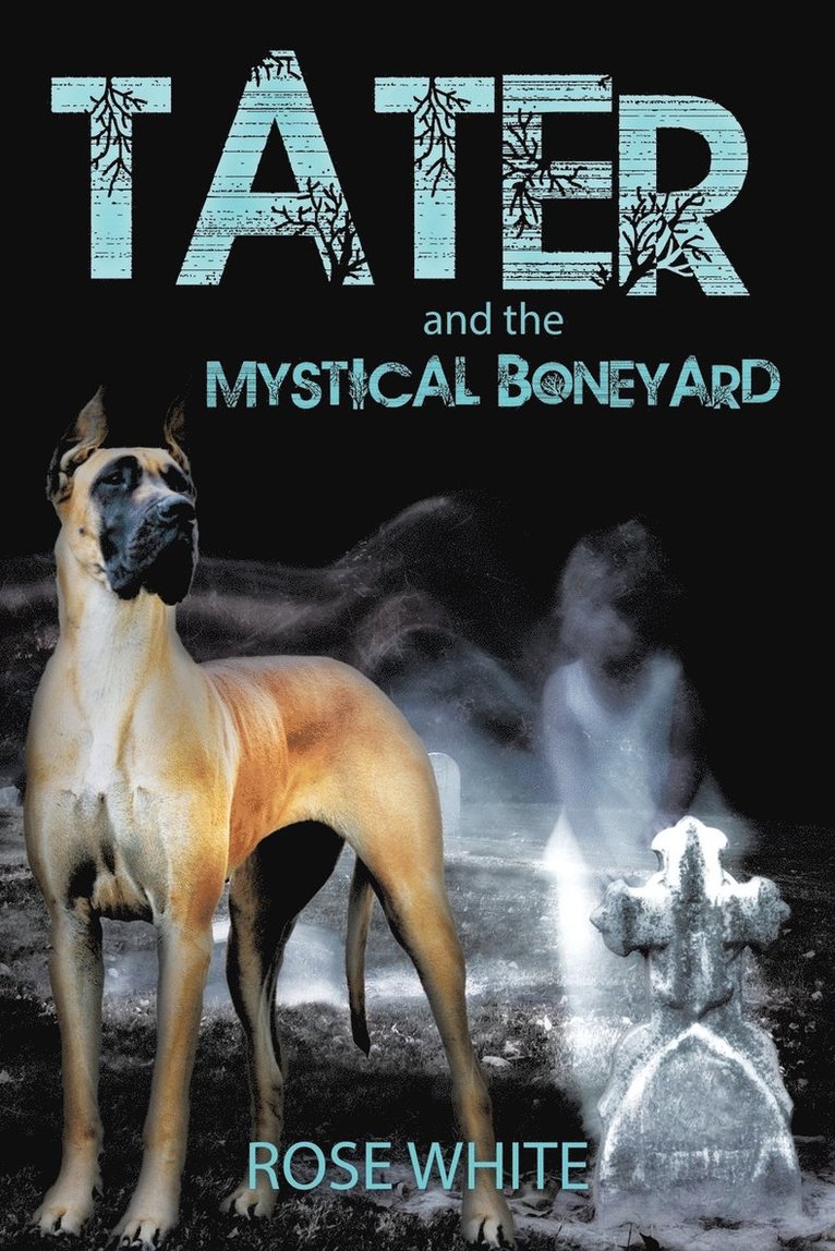 Tater and the Mystical Boneyard 1