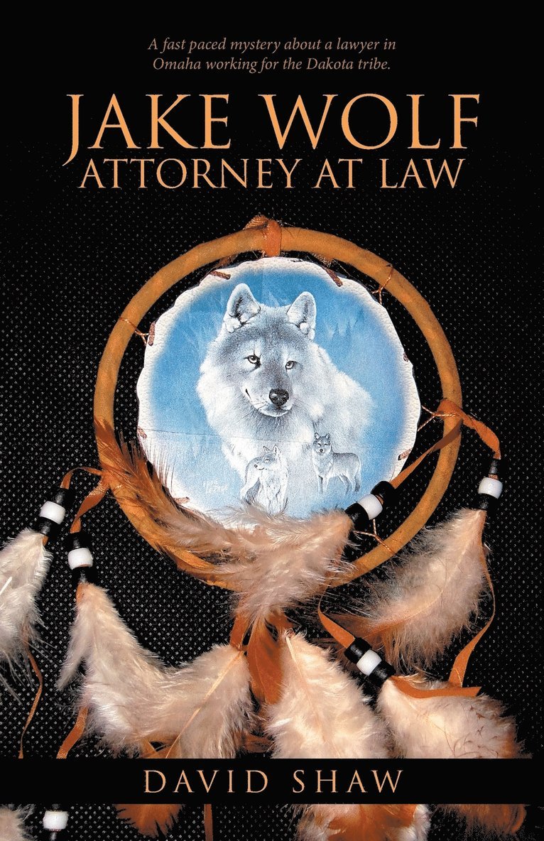 David Shaw - Jake Wolf Attorney at Law, Häftad