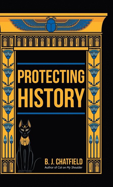 bokomslag Protecting History