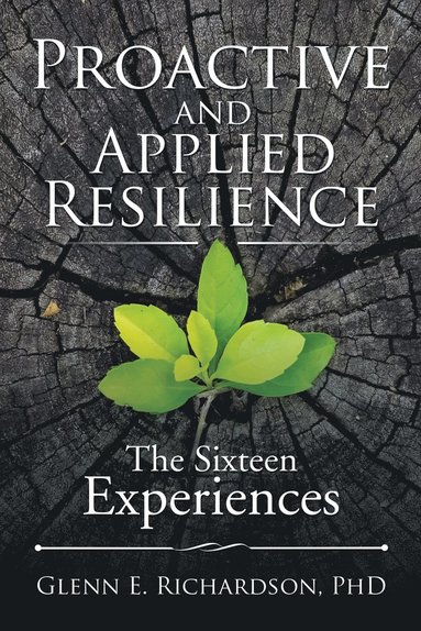 bokomslag Proactive and Applied Resilience