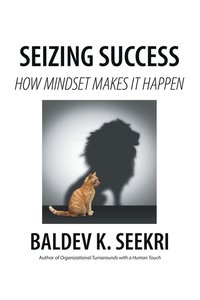 bokomslag Seizing Success