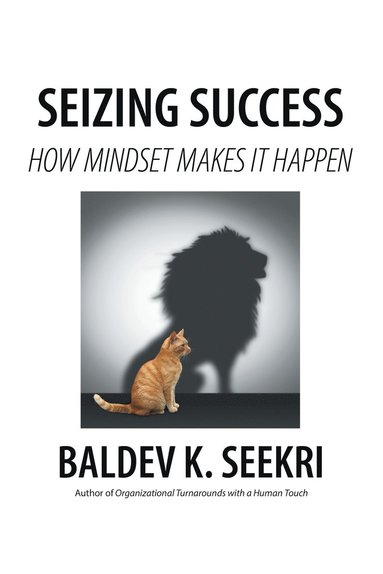 bokomslag Seizing Success