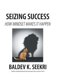 bokomslag Seizing Success