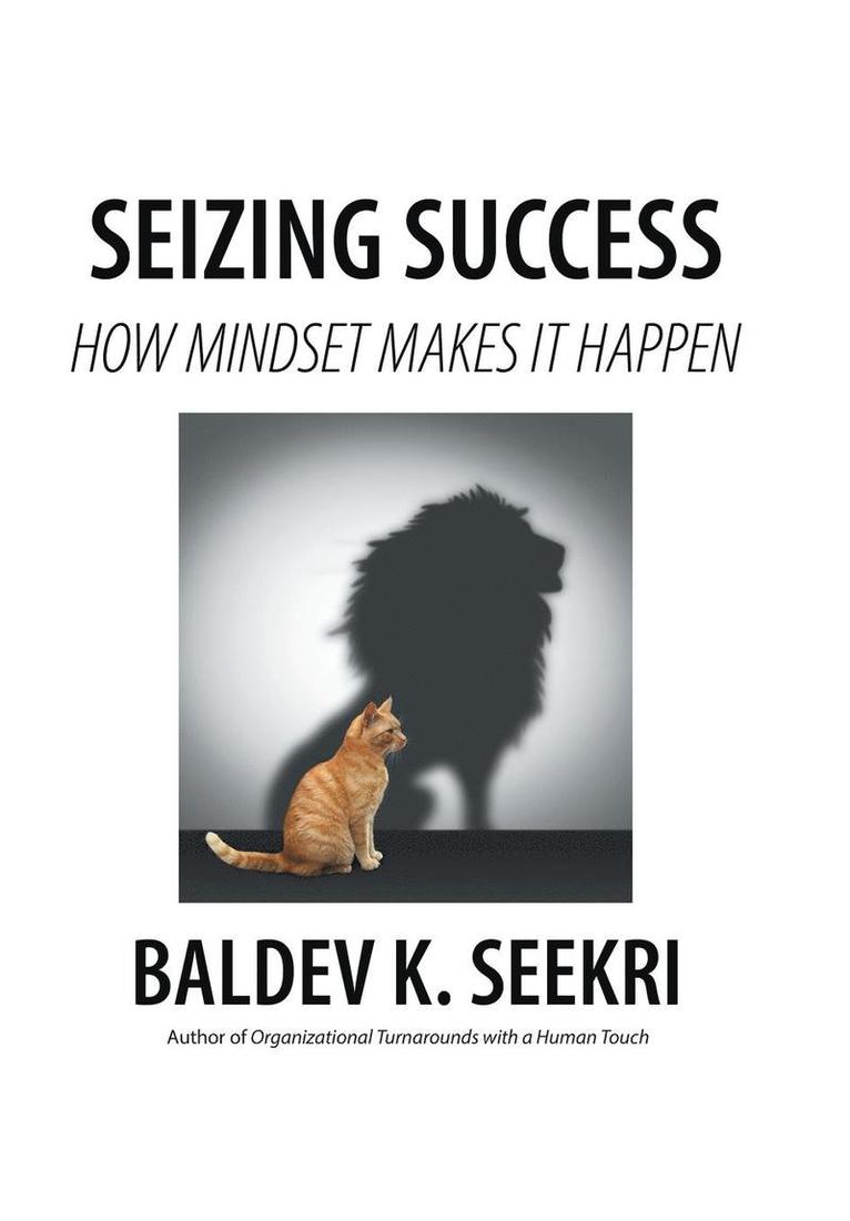 Seizing Success 1