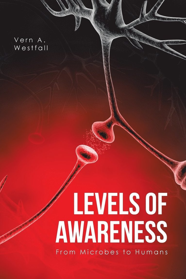 Levels of Awareness 1