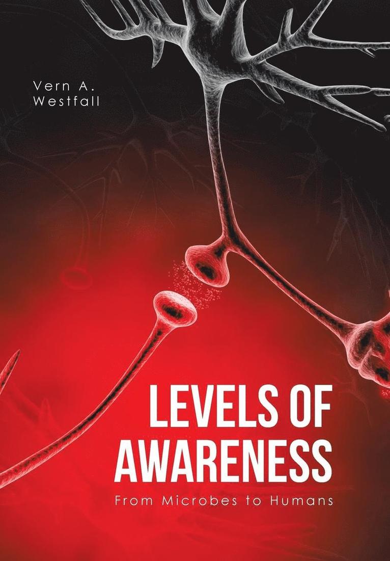 Levels of Awareness 1