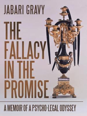 bokomslag The Fallacy in the Promise