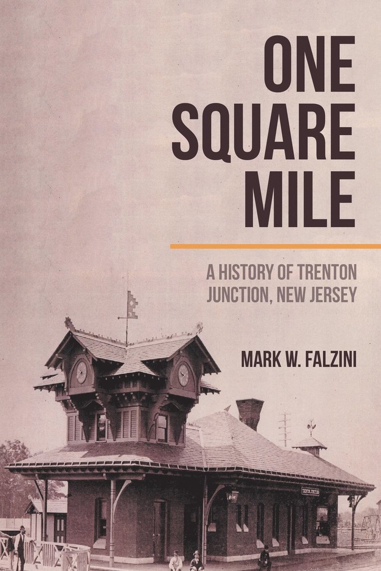 Mark W Falzini, Mark W. Falzini - One Square Mile, Häftad