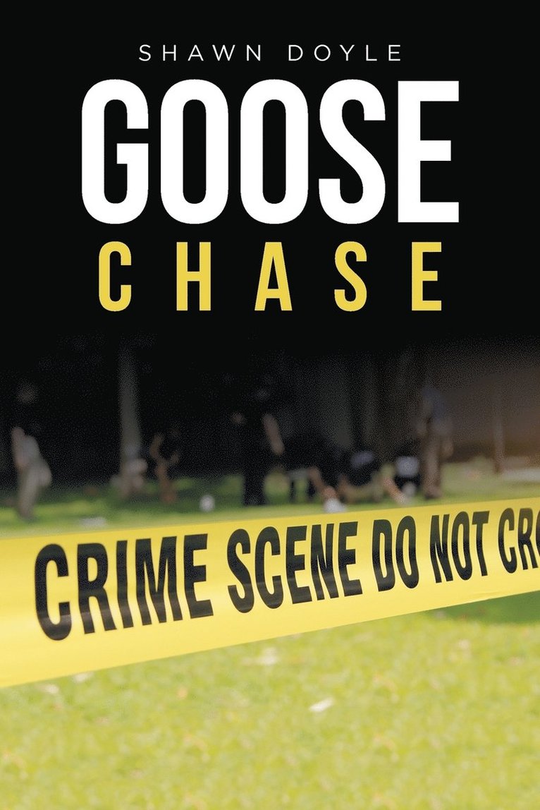 Goose Chase 1