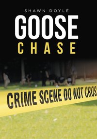 bokomslag Goose Chase