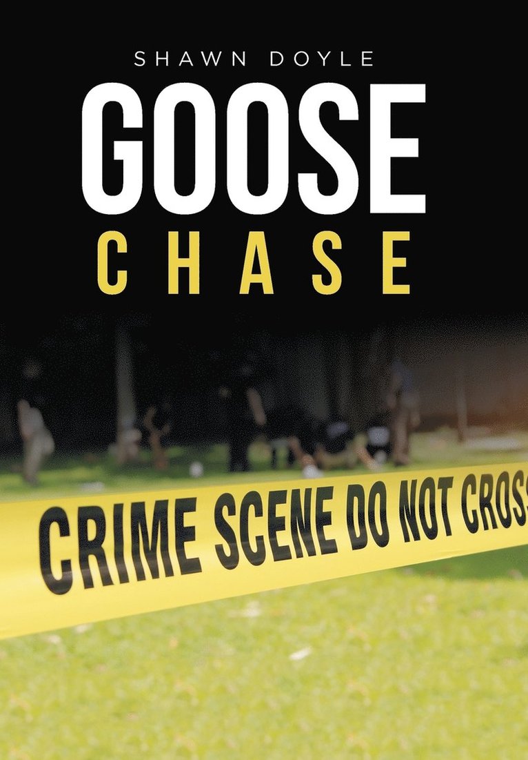 Goose Chase 1