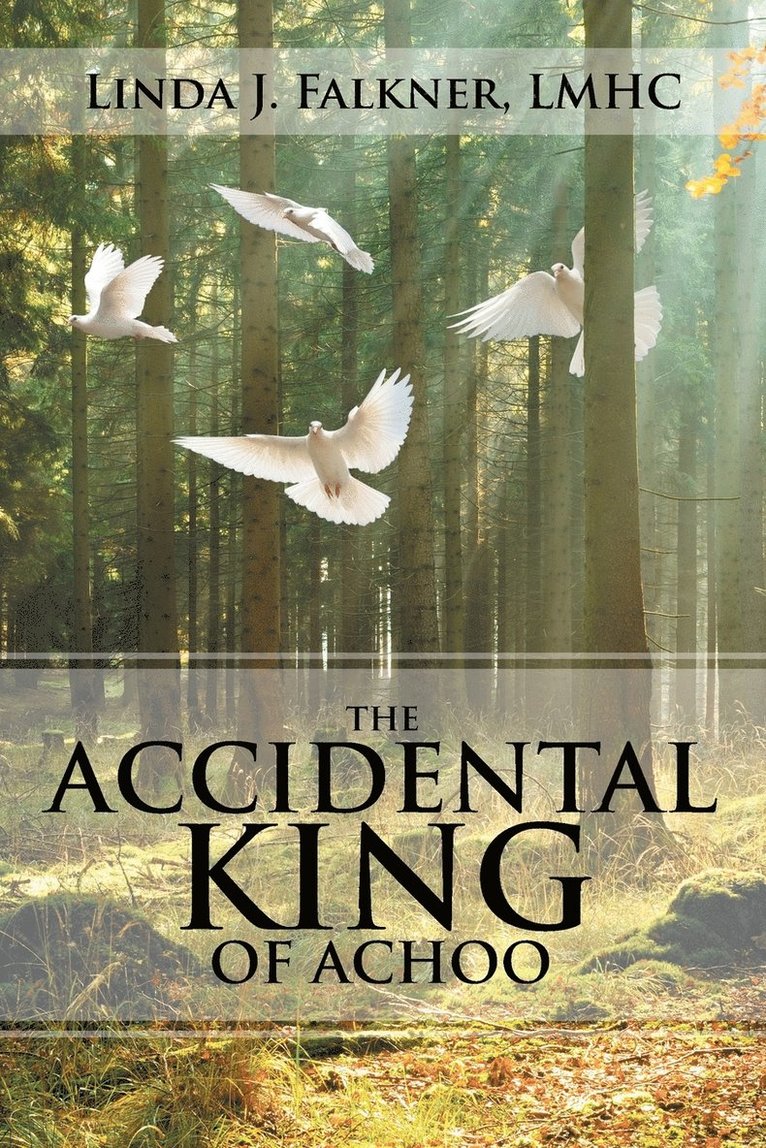 The Accidental King of Achoo 1