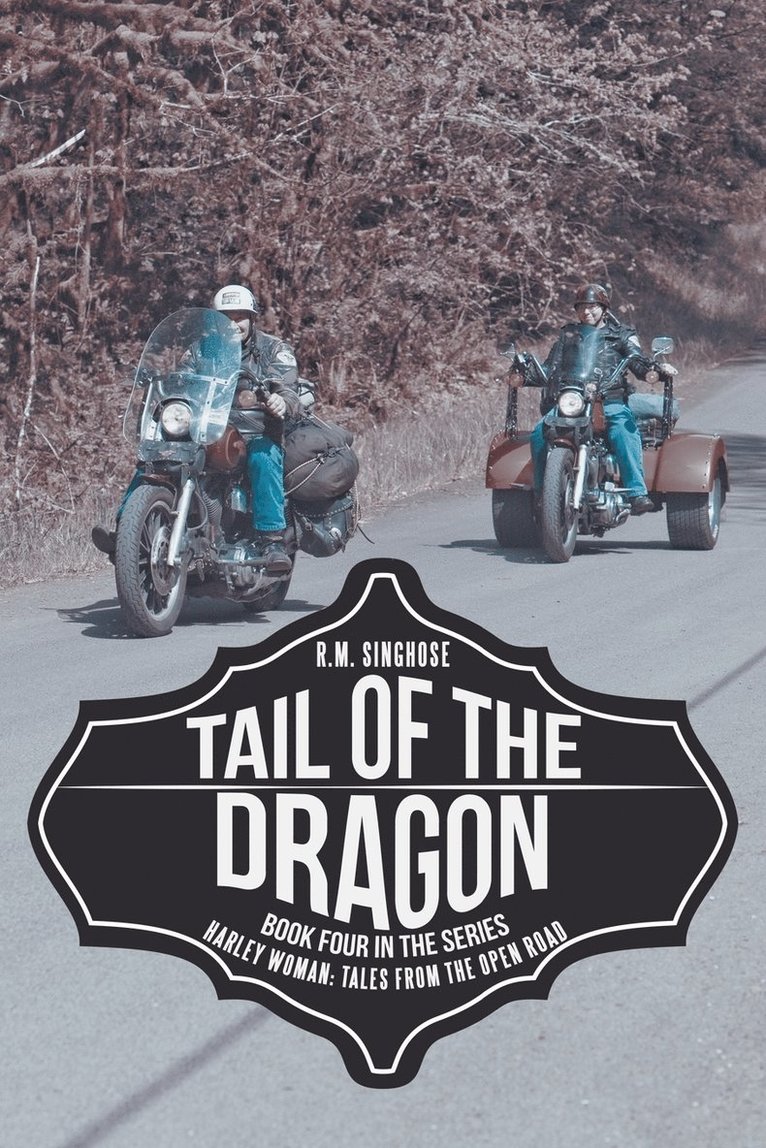 Tail of the Dragon 1